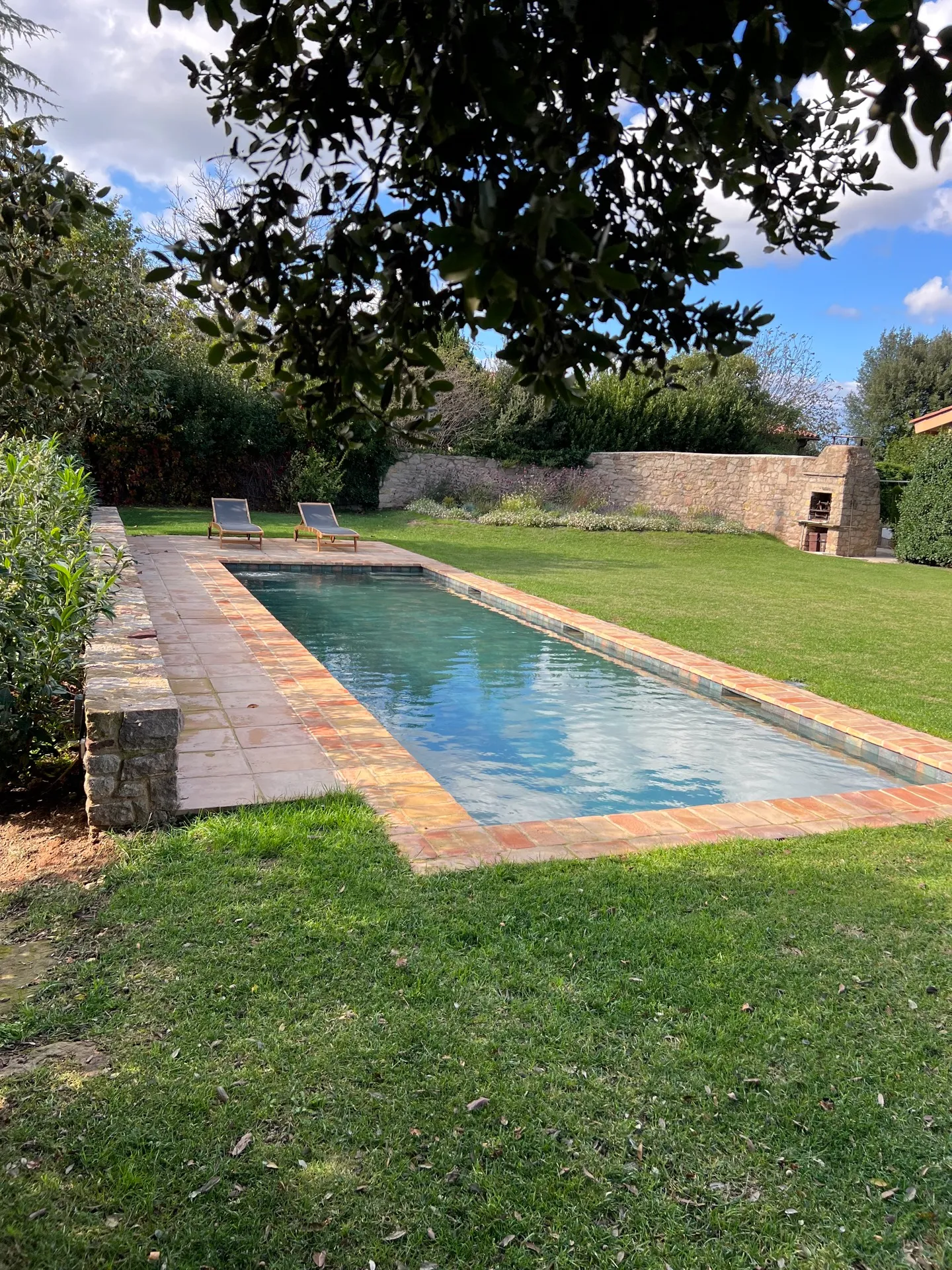 Piscina contemporània envoltada de vegetació